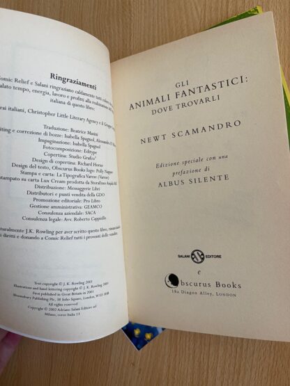 Animali fantastici e dove trovarli - il quidditch attraverso i secoli - Prima edizione - immagine 7