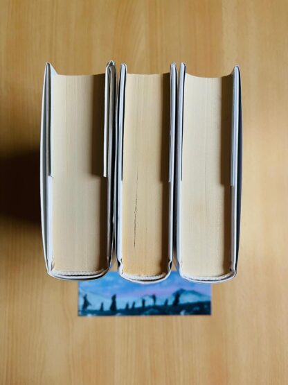 J.R.R. Tolkien Il Signore degli Anelli traduzione Alliata serie oro bompiani - immagine 8