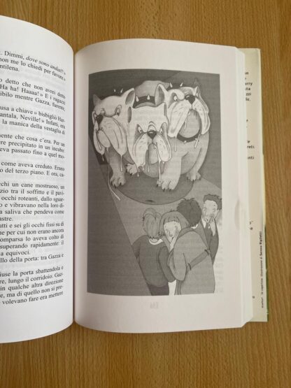 Harry Potter e la pietra filosofale prima edizione vecchia traduzione tela rossa - immagine 14