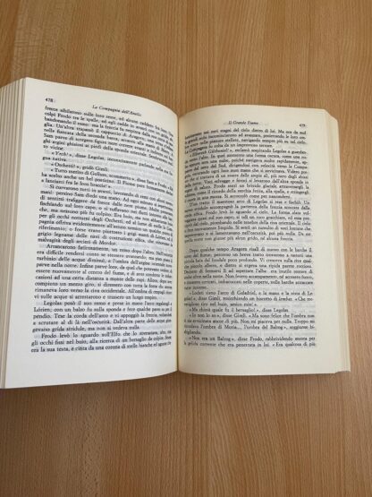 J.R.R. Tolkien Il Signore degli Anelli edizione rusconi traduzione Alliata - immagine 11