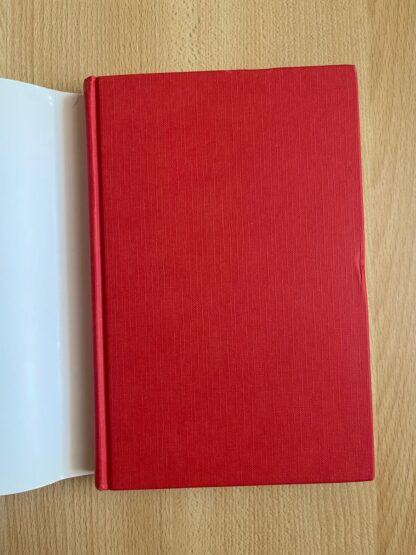 Harry Potter e la pietra filosofale prima edizione vecchia traduzione tela rossa - immagine 8