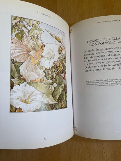 Cicely Mary Barker - Le fate dei fiori - Fabbri editori - immagine 13