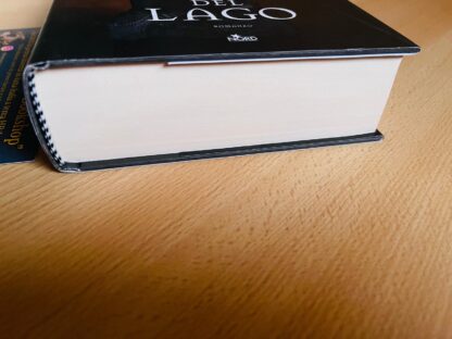 Andrzej Sapkowski The Witcher La Signora del Lago prima edizione - immagine 7