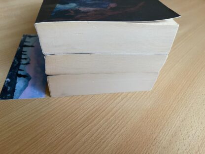 J.R.R. Tolkien Il Signore degli Anelli Trilogia Bompiani Traduzione Alliata - immagine 4