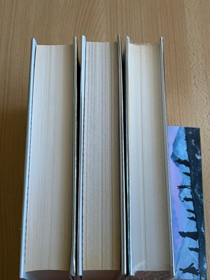 J.R.R. Tolkien Il Signore degli Anelli trilogia Bompiani serie oro traduzione Alliata - immagine 5
