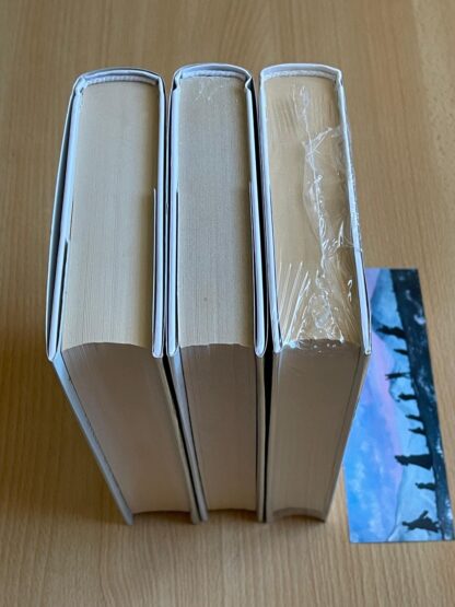 J.R.R. Tolkien Il Signore degli Anelli trilogia Bompiani serie oro traduzione Alliata - immagine 6