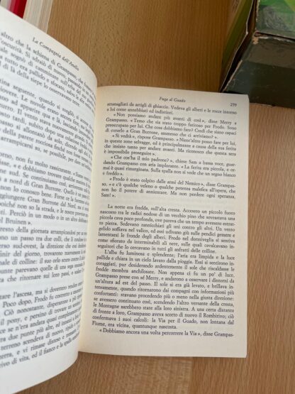 J.R.R. Tolkien Il Signore degli Anelli trilogia Rusconi cofanetto - immagine 22