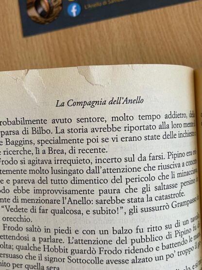 J.R.R. Tolkien Il Signore degli Anelli XX edizione Bompiani traduzione Alliata - immagine 11