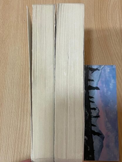 J.R.R. Tolkien Il Signore degli Anelli la compagnia dell'anello le due torri traduzione Alliata - immagine 5