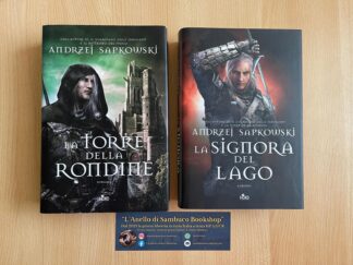 Andrzej Sapkowski The Witcher la torre della rondine la signora del lago prima edizione