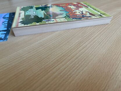 J.R.R. Tolkien Le Avventure di Tom Bombadil Rusconi 1980 - immagine 5
