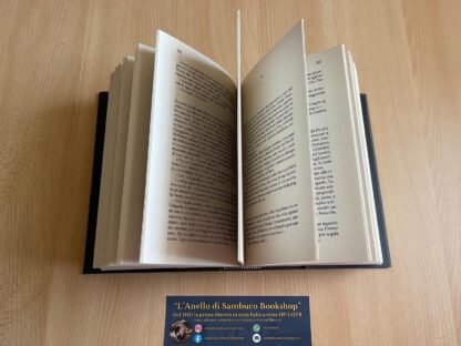 Andrzej Sapkowski The Witcher La Torre della Rondine prima edizione - immagine 10