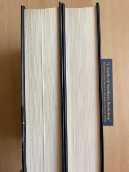 Andrzej Sapkowski The Witcher la torre della rondine la signora del lago prima edizione - immagine 5