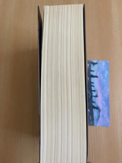 J.R.R. Tolkien Il Signore degli Anelli traduzione Alliata 2002 con mappa - immagine 5