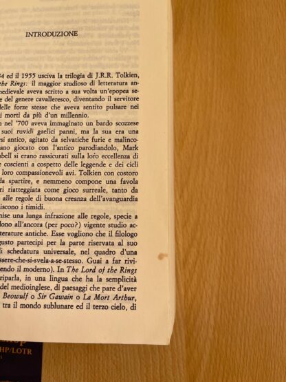 J.R.R. Tolkien Il Signore degli Anelli traduzione Alliata Edizione Rusconi - immagine 12