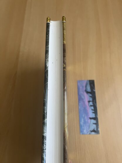 J.R.R. Tolkien Lo Hobbit Bompiani edizione deluxe illustrato da Alan Lee prima edizione 2003 - immagine 5