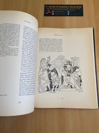 J.R.R. Tolkien Lo Hobbit Annotato Da Douglas A. Anderson prima edizione Rusconi - immagine 14